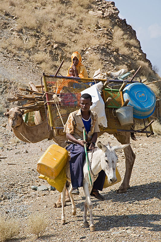 55   Tigre nomads on there way to the lowlands